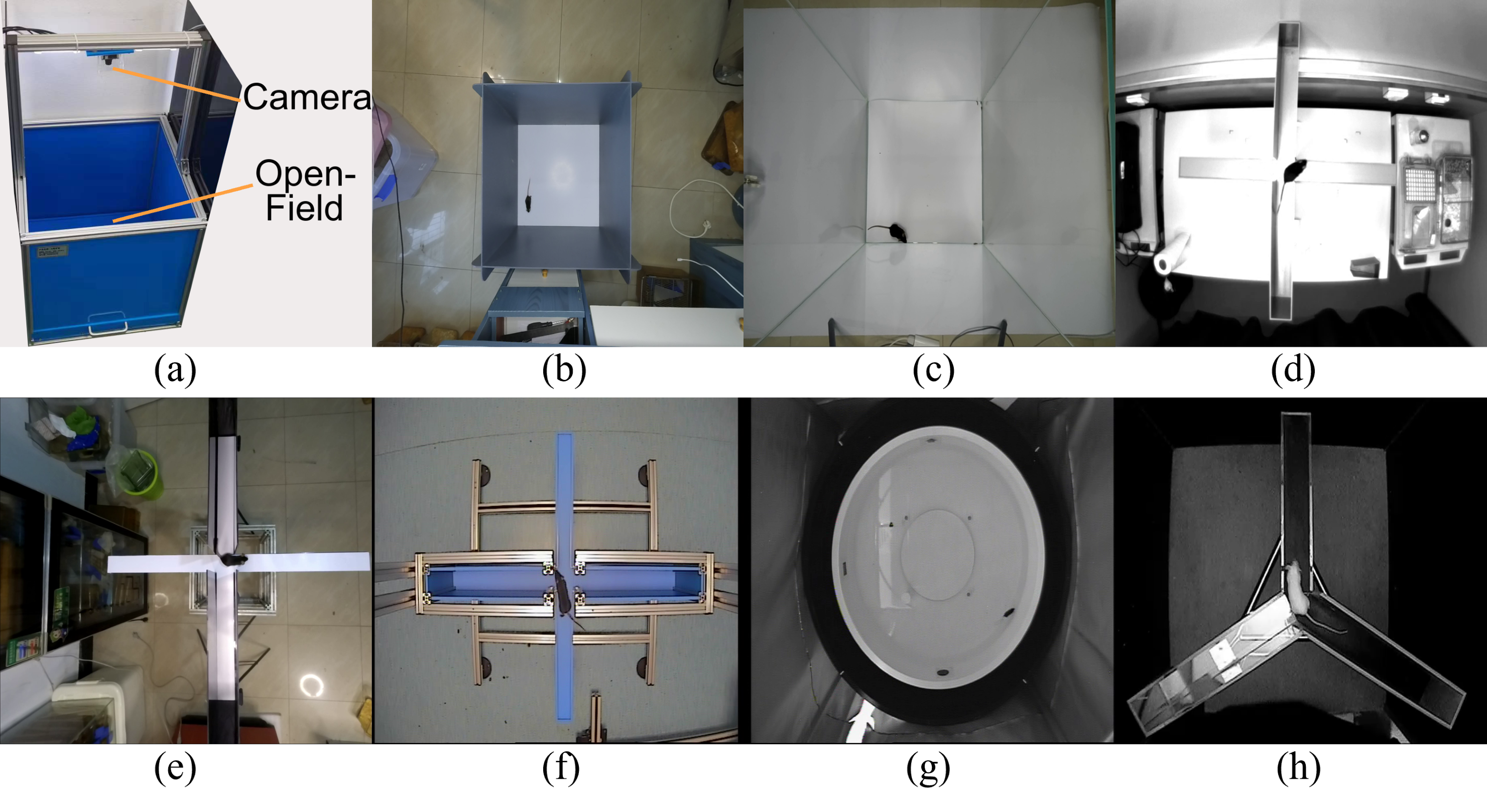 fig3